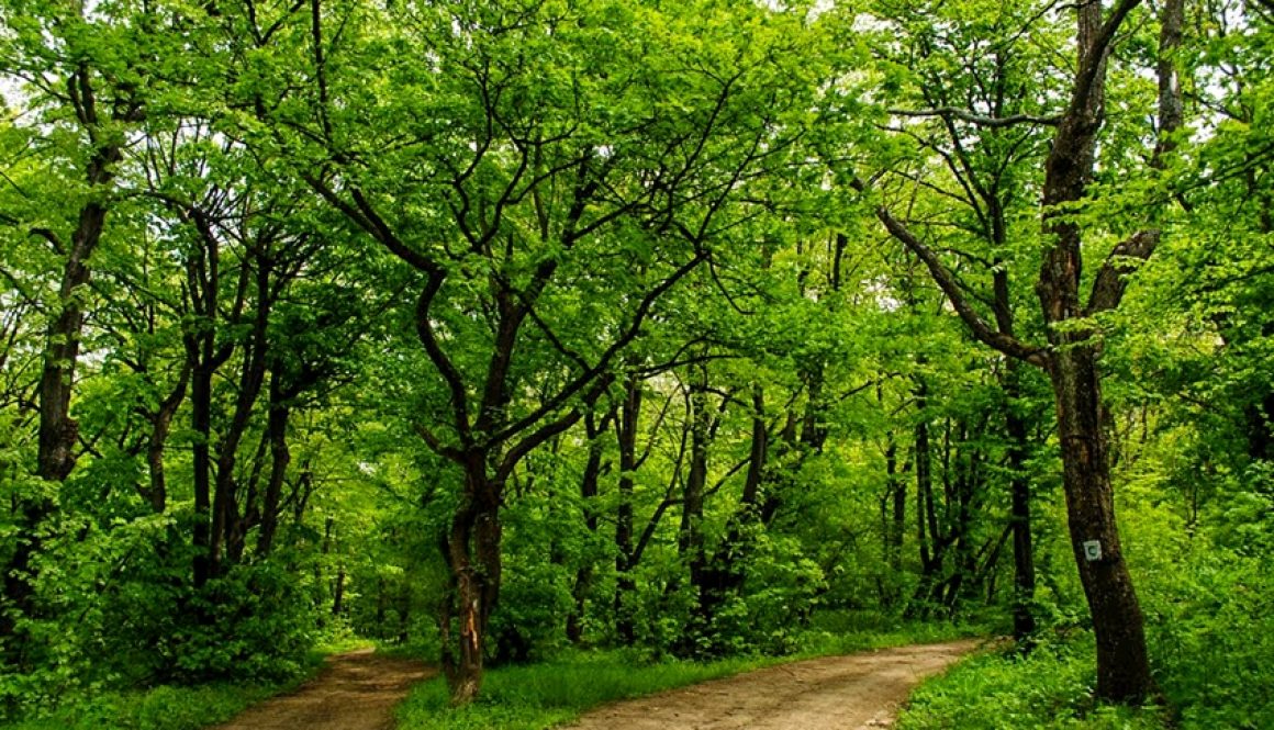 Poveste de mai in Muntii Macin