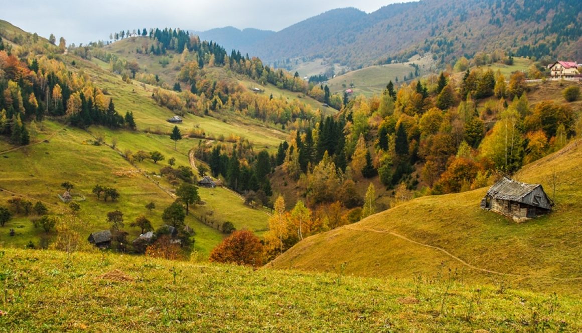 Pe urmele toamnei la poalele Pietrei Craiului